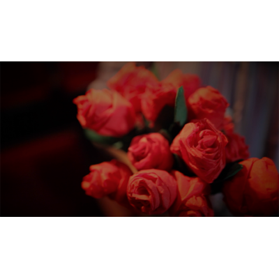 The Saint-Exerpury Rose by Vincent Mendoza & Lost Art Magic - Video DOWNLOA - MagicTricksUSA