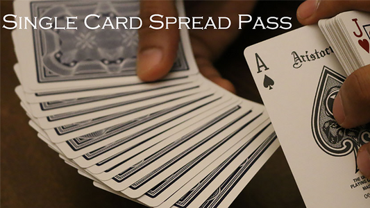 Magic Encarta Presents Single Card Spread Pass by Vivek Singhi video DOWNLOAD - MagicTricksUSA