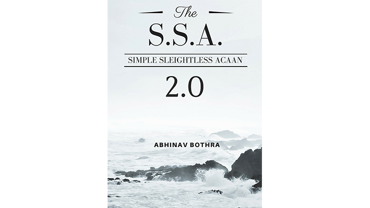 Simple Sleightless ACAAN 2.0 by Abhinav Bothra Mixed Media DOWNLOAD