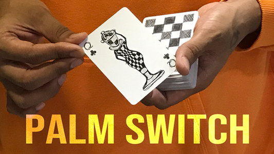 Magic Encarta Presents Palm Switch & Palm Control by Vivek Singhi - MagicTricksUSA